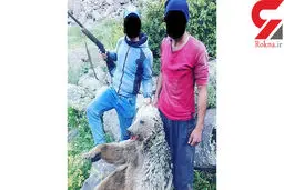 تصویری دردناک از کشتار وحشیانه خرس آذربایجان غربی / عوامل بازداشت هستند
