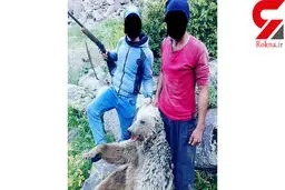 تصویری دردناک از کشتار وحشیانه خرس آذربایجان غربی / عوامل بازداشت هستند