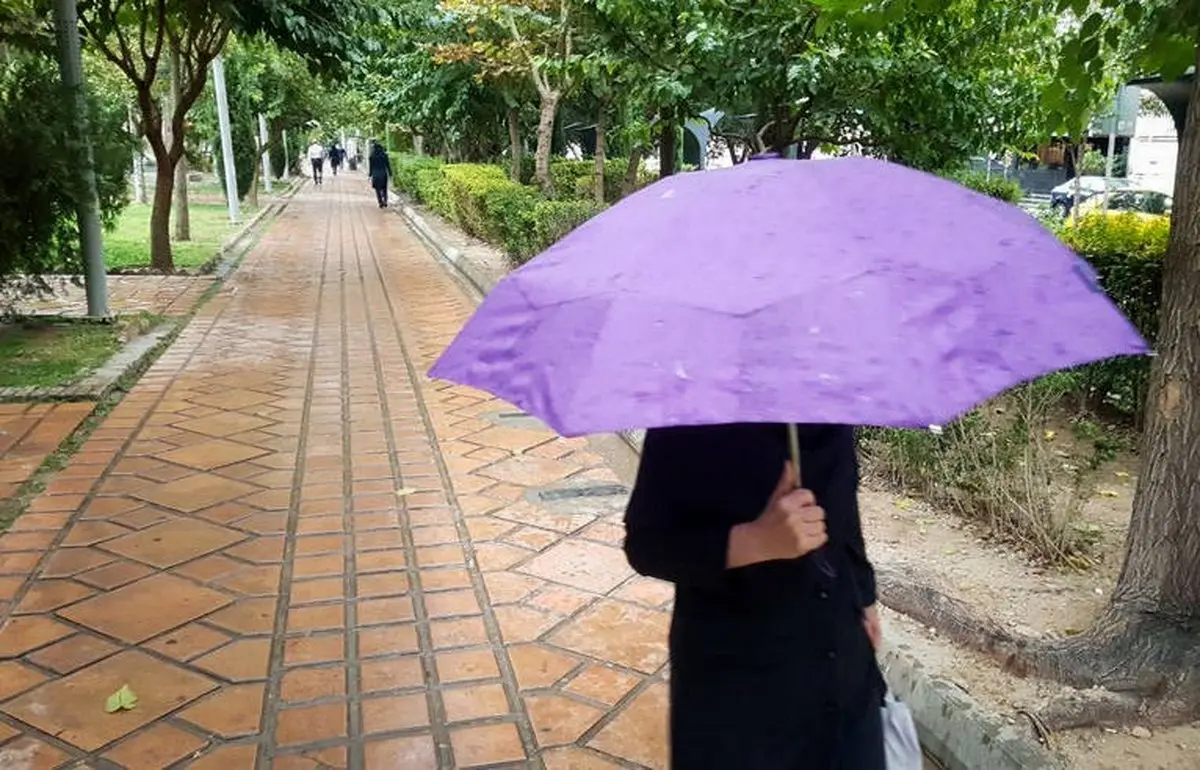 بارش اولین باران پاییزی در تهران / تصاویر