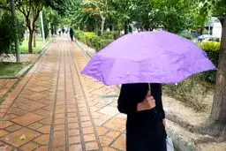 بارش اولین باران پاییزی در تهران / تصاویر