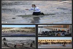 حیات زاینده‌رود پس از ۱۸ ماه/ عکس