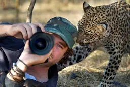 تصاویر جالب از فتوبامبینگ (عکس آزاری) در حیات وحش