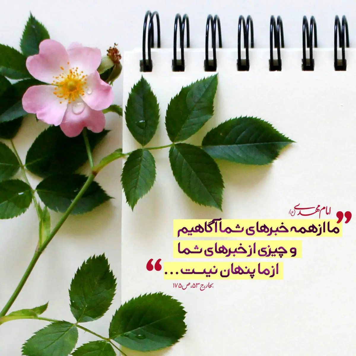 حدیث روز