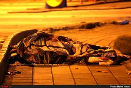 در سرمای پاییز، زلزله زدگان آواره کوچه و خیابان.../تصاویر