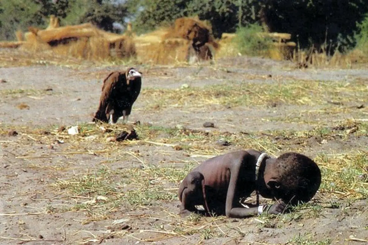 شور عکاسی را درآورده‌ایم + عکس