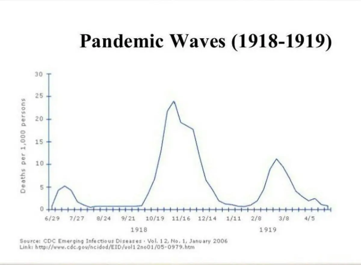 چگونه کرونا دنیا را بلعید؟