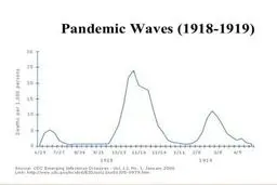 چگونه کرونا دنیا را بلعید؟