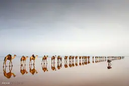 تصاویر برگزیده گاردین از مسابقه سی ینا