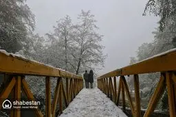 برف زیارت را سفیدپوش کرد/تصاویر