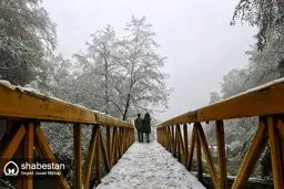 برف زیارت را سفیدپوش کرد/تصاویر