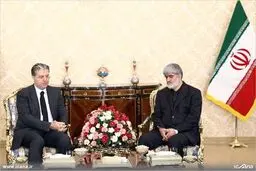 حاشیه های دیدار علی مطهری و سفیر ترکیه/تصاویر