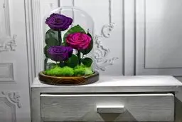 معرفی گل رز جاودان