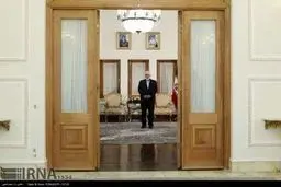 حواشی دیدارهای پرترافیک روز یکشنبه ظریف/تصاویر