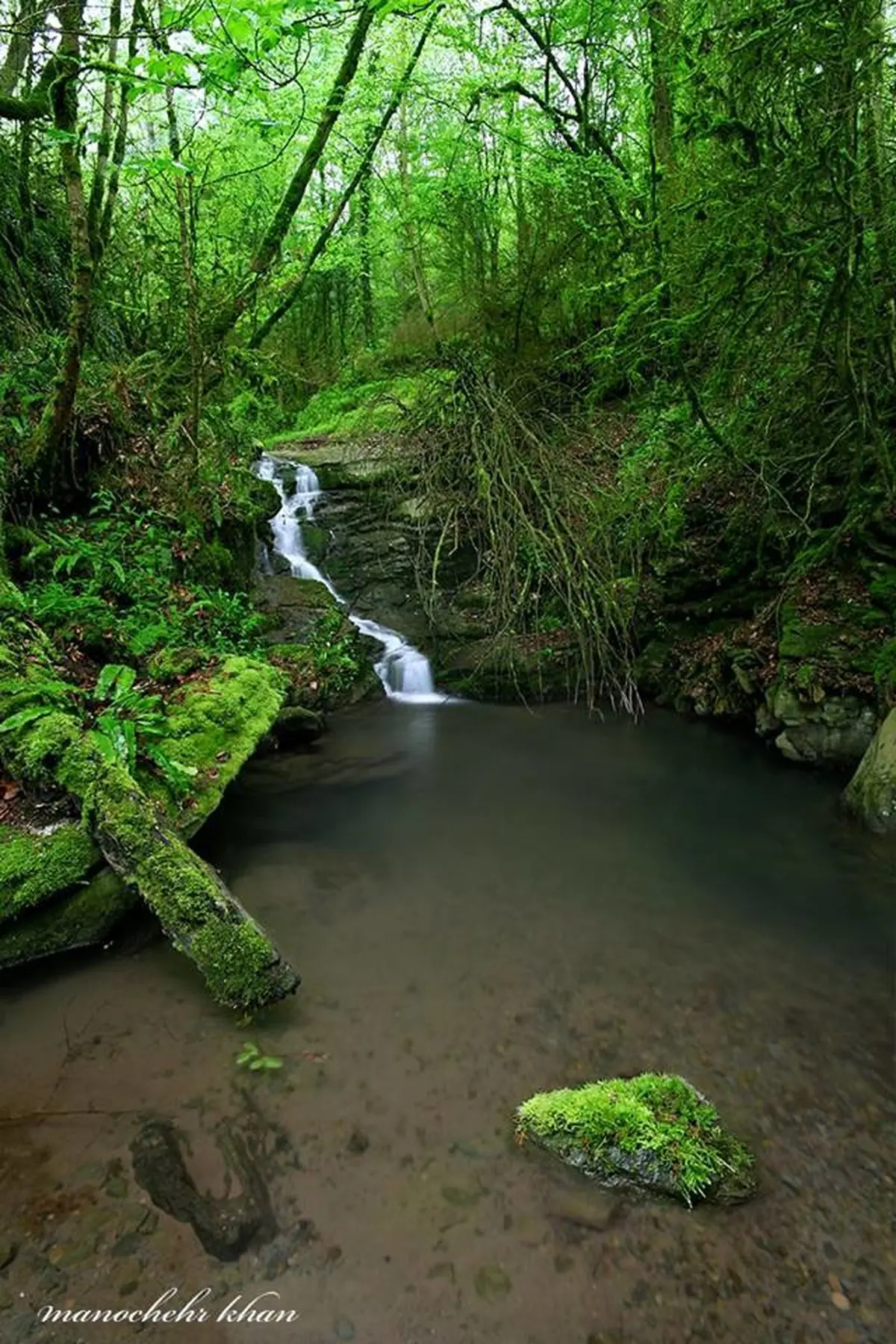 عکس:بهار رامسر