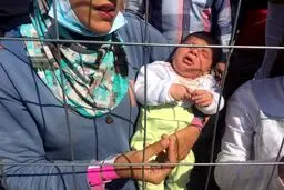 پناهجویان سوری در قفس/تصاویر