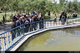 محل قربانی شدن فاطمه در پارک کوهسار تهران/ تصاویر