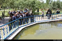محل قربانی شدن فاطمه در پارک کوهسار تهران/ تصاویر