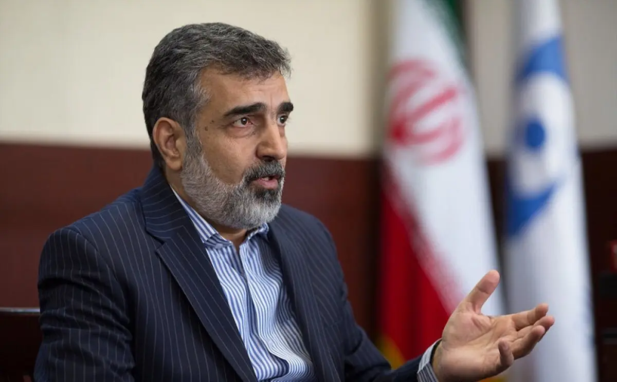 سخنگوی سازمان انرژی اتمی: منع بازرسی آژانس انرژی اتمی از دانشگاههای ایران!