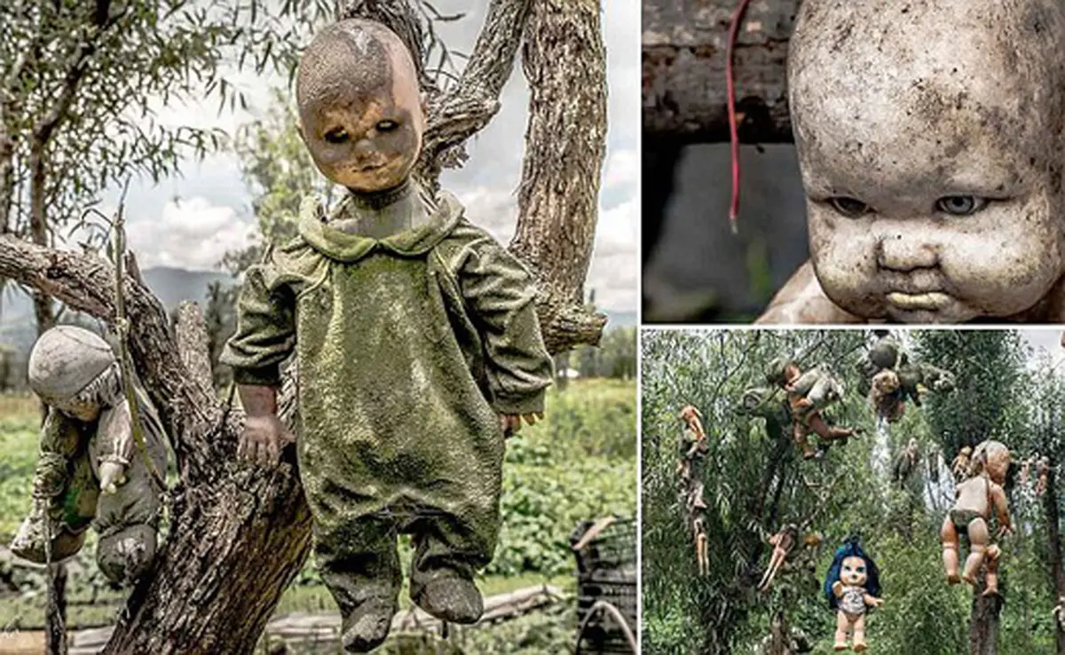 گورستان عروسک ها در مکزیک + تصاویر