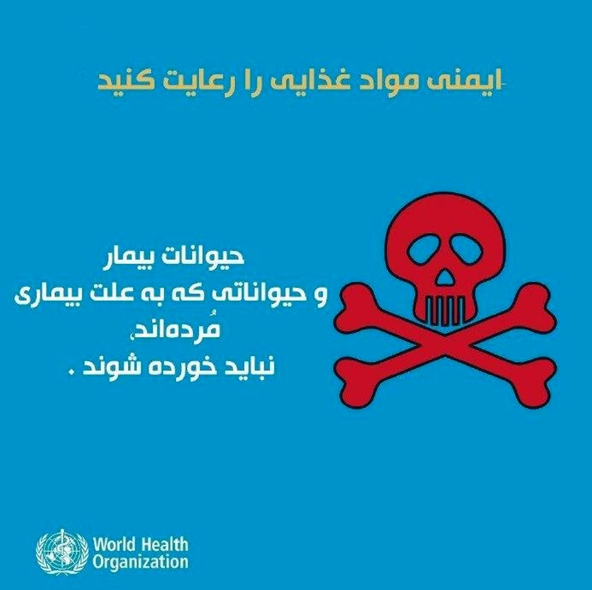 ویروس کرونا؛ توصیههای تغذیهای برای مقابله با کرونا