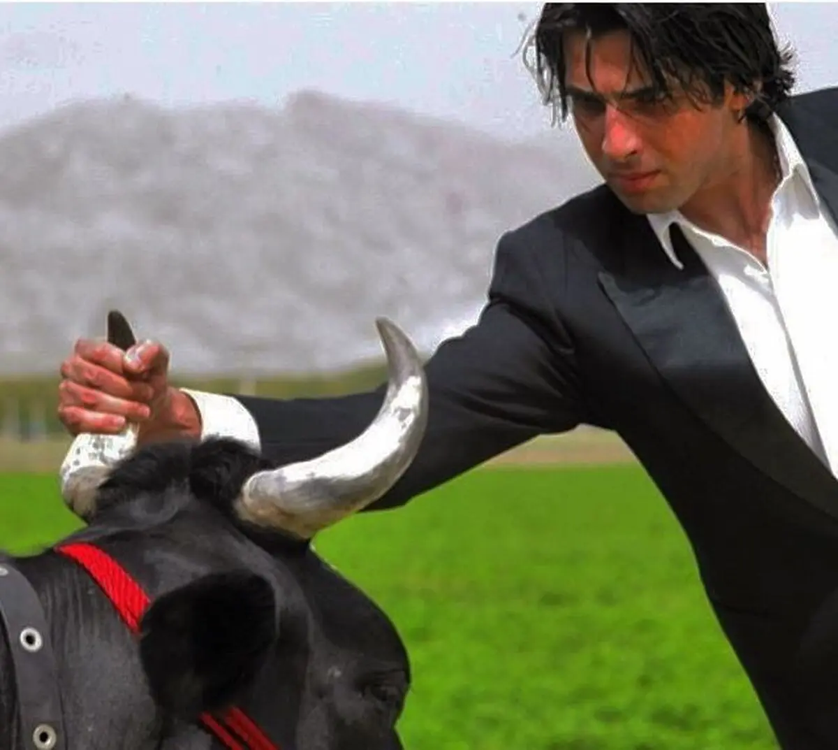 حمید گودرزی و شاخ گاو/ عکس