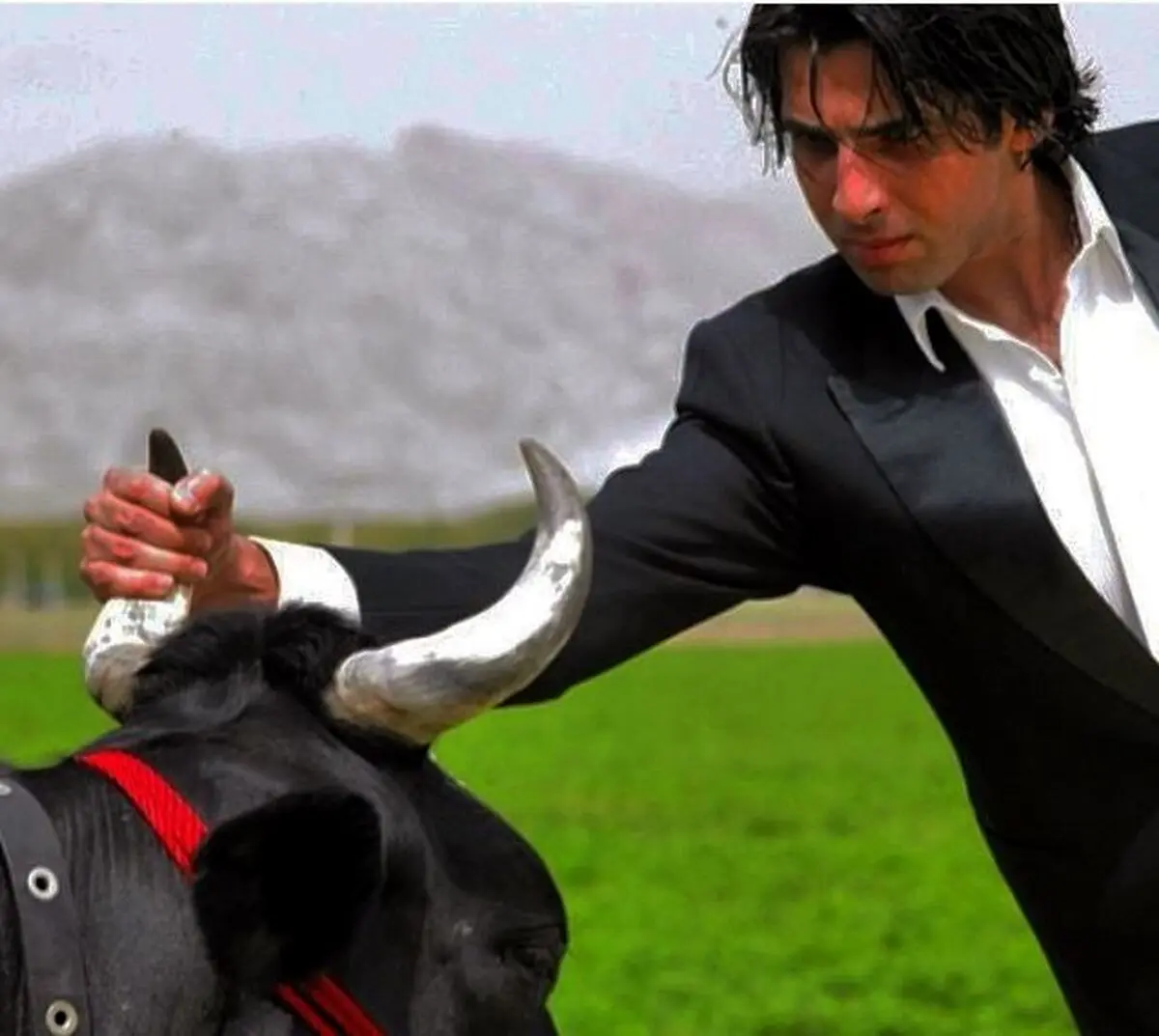 حمید گودرزی و شاخ گاو/ عکس