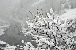 تصاویری زیبا از گردنه حیران در یک روز برفی