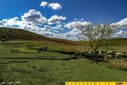 طبیعت زیبا و بکر شهرستان خاتم/ عکس
