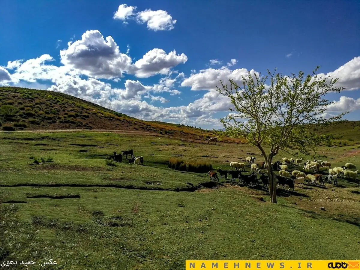 طبیعت زیبا و بکر شهرستان خاتم/ عکس