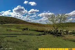 طبیعت زیبا و بکر شهرستان خاتم/ عکس
