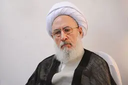 توصیه عضومجلس خبرگان به روحانی: تسلیم فشارهای سیاسی نشوید/ برخی می‌خواهند کابینه بخشی از حزب آنها شود