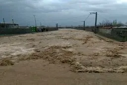  تصاویر تازه از طغیان رودخانه سرباز در اثر بارش باران