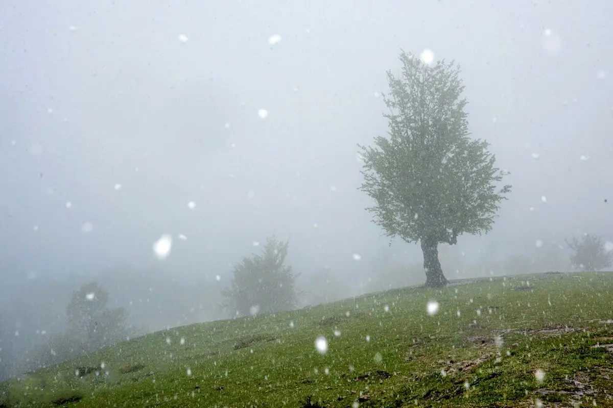تصاویر / بهار در مازندران