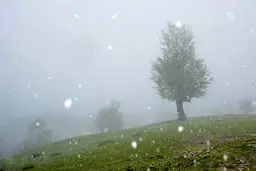 تصاویر / بهار در مازندران