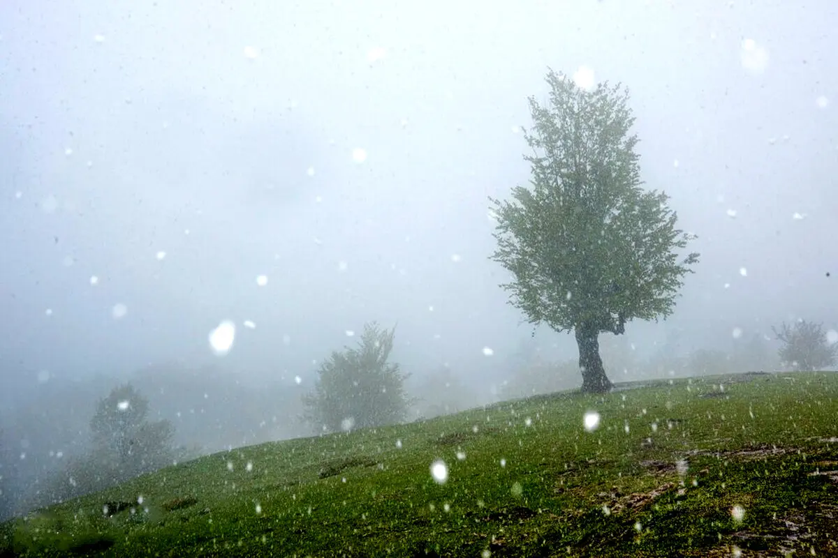 تصاویر / بهار در مازندران
