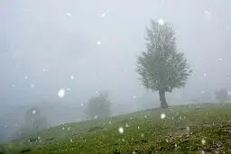 تصاویر / بهار در مازندران