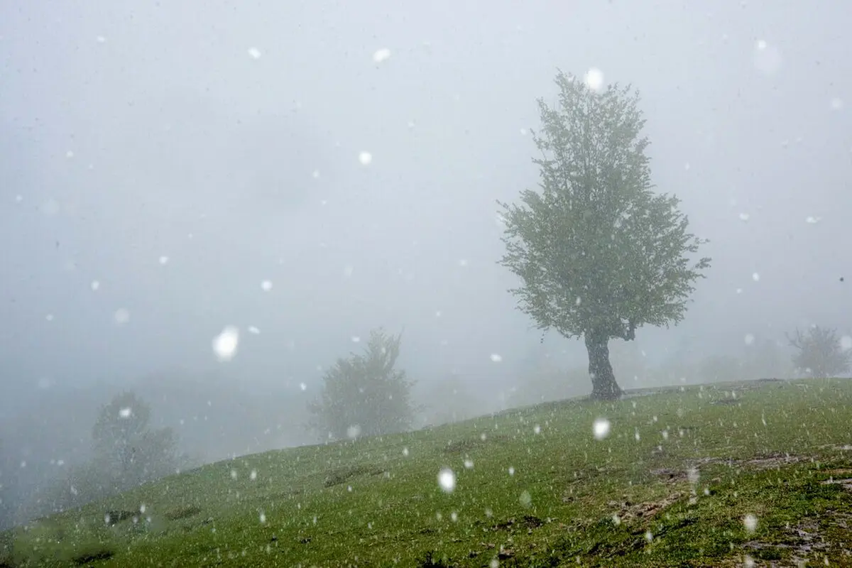 تصاویر / بهار در مازندران
