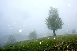 تصاویر / بهار در مازندران