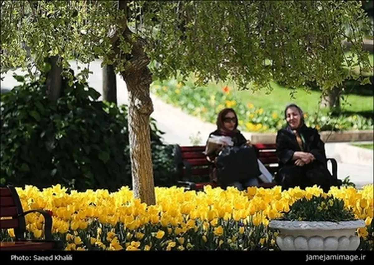 طبیعت بهاری تهران/تصاویر