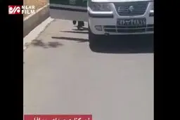 ببینید: لحظه دستگیری قاتل امام جمعه کازرون