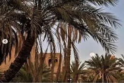 خراسان جنوبی از زاویه‌ای دیگر/ عکس