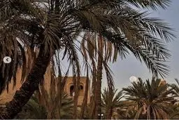 خراسان جنوبی از زاویه‌ای دیگر/ عکس