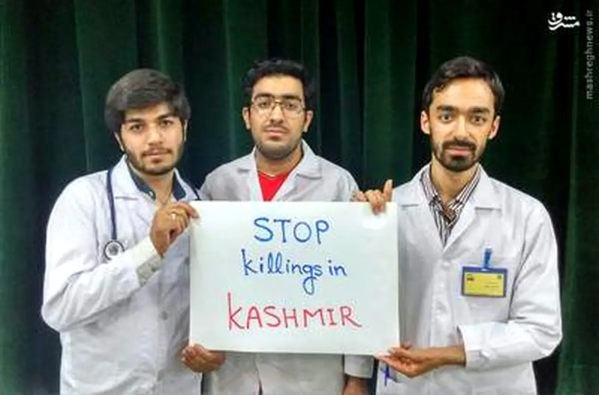 کمپین حمایت از شیعیان کشمیر/ تصاویر