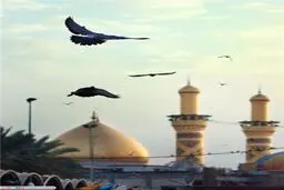 کربلا سیاه‌پوش شد/عکس
