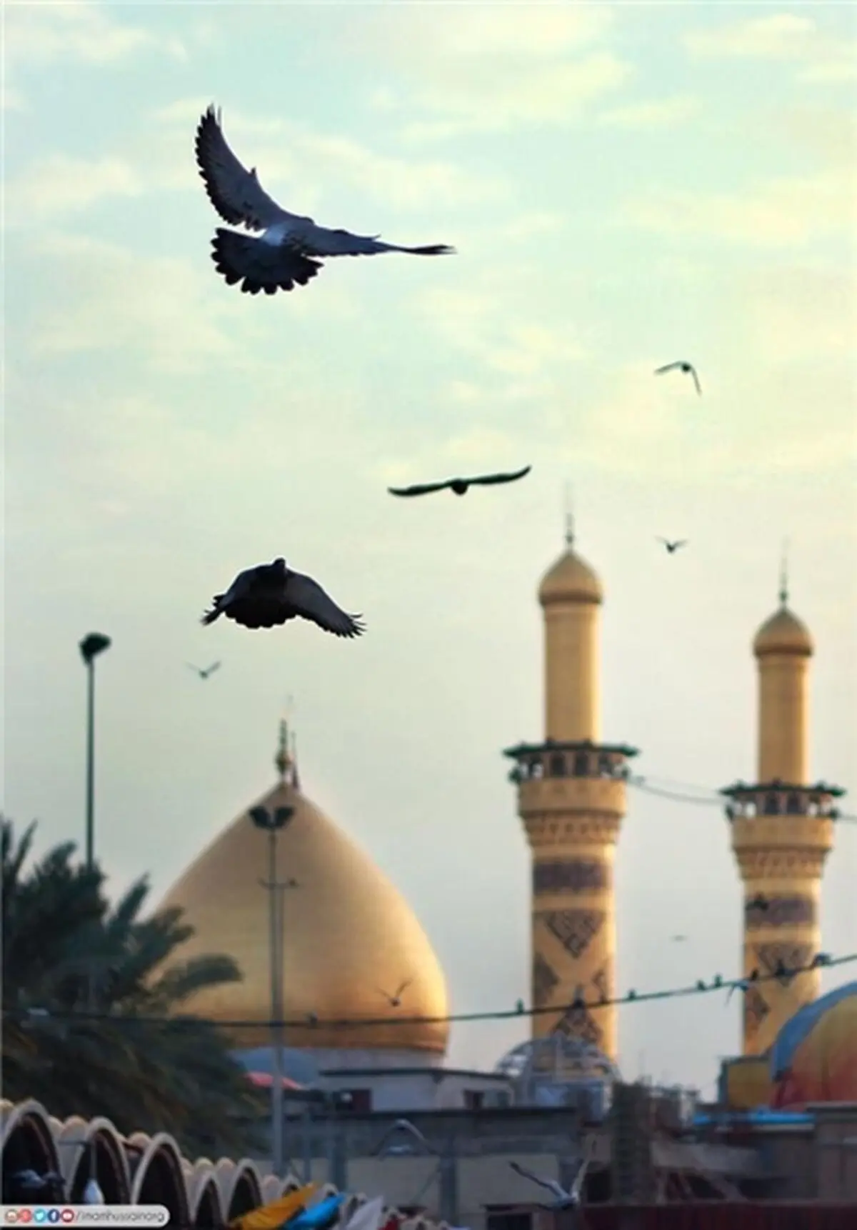 کربلا سیاه‌پوش شد/عکس