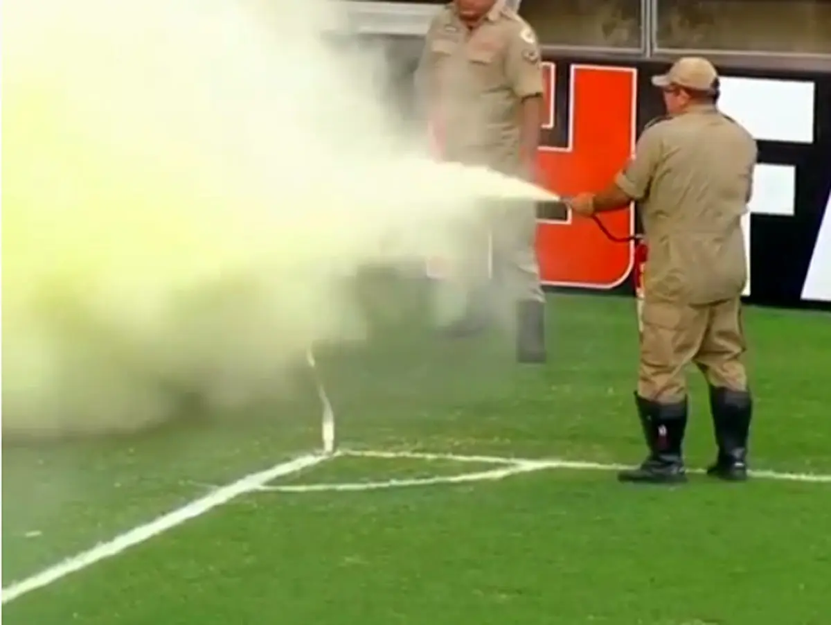 هجوم حشرات و وقفه در دیداری در برزیل (عکس)