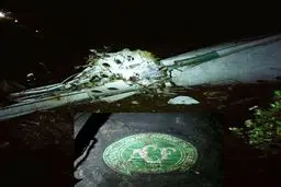 نخستین تصاویر از لاشه هواپیمای سقوط کرده برزیلی