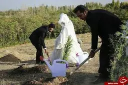 مهریه عجیب، عروس و داماد ایلامی را راهی بیابان کرد +عکس