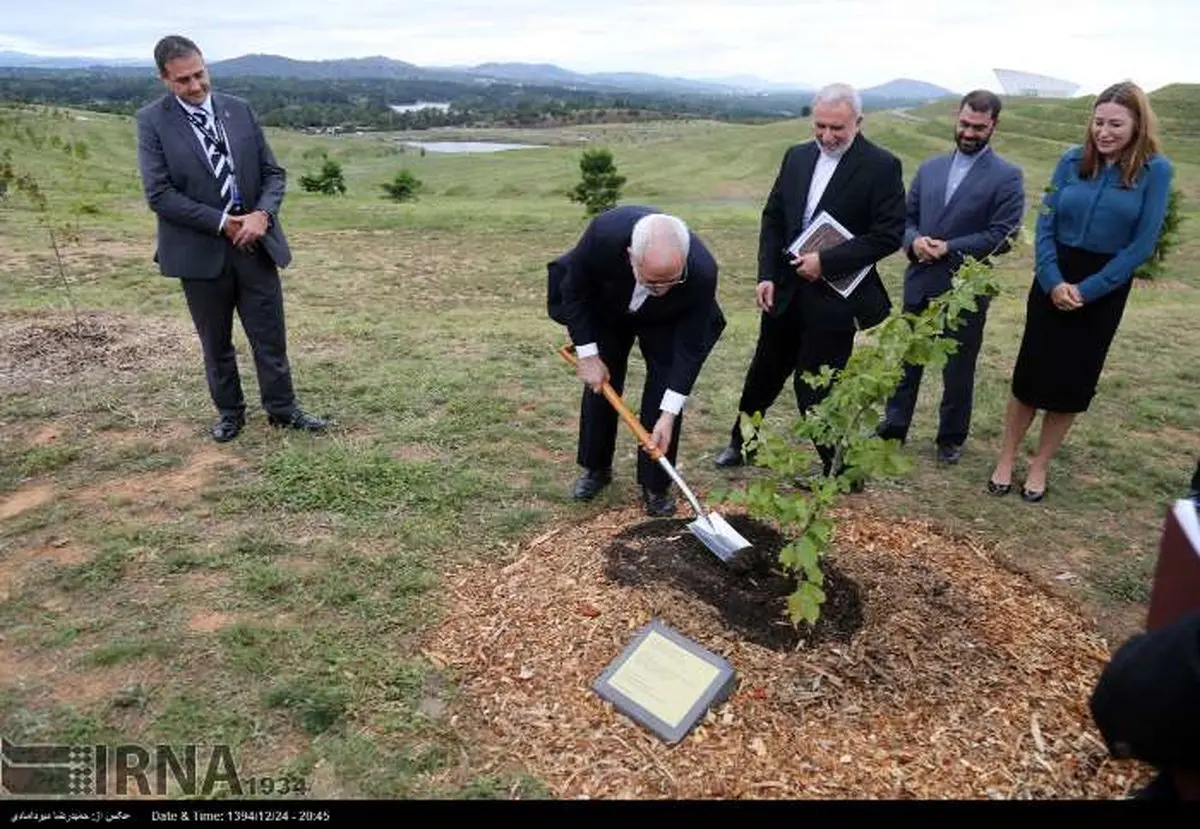 درختکاری ظریف در استرالیا/عکس