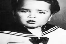 دو سالگی محمدرضا شریفی‌نیا